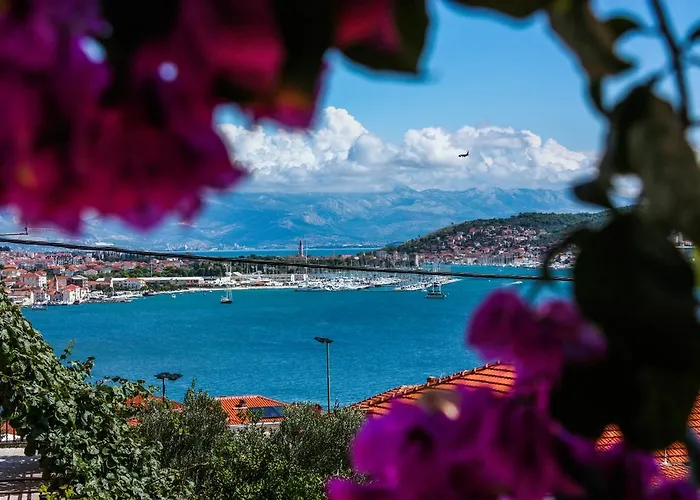 Artemisia 1 アパート *